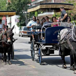 While in Charleston, take a horse carriage tour. Photo credit: wade spees/staff postandcourier.com