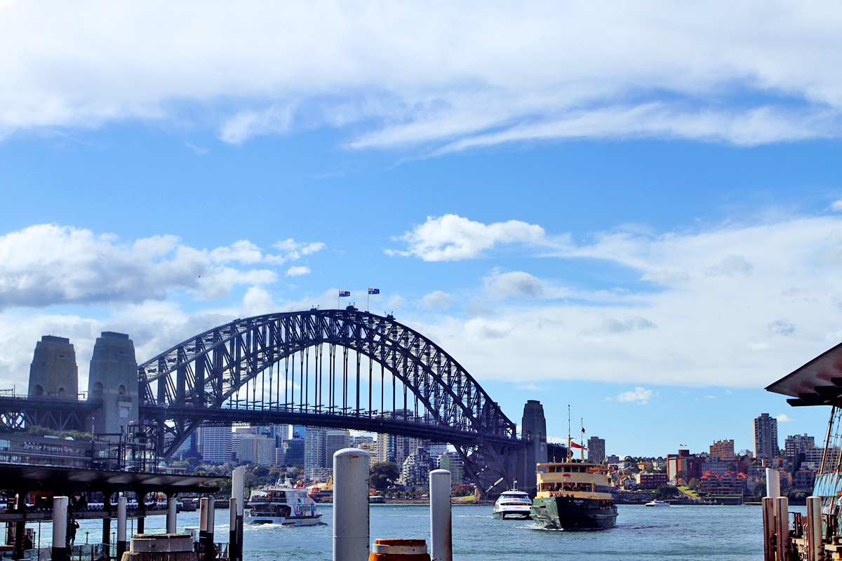 The Sydney Bridge