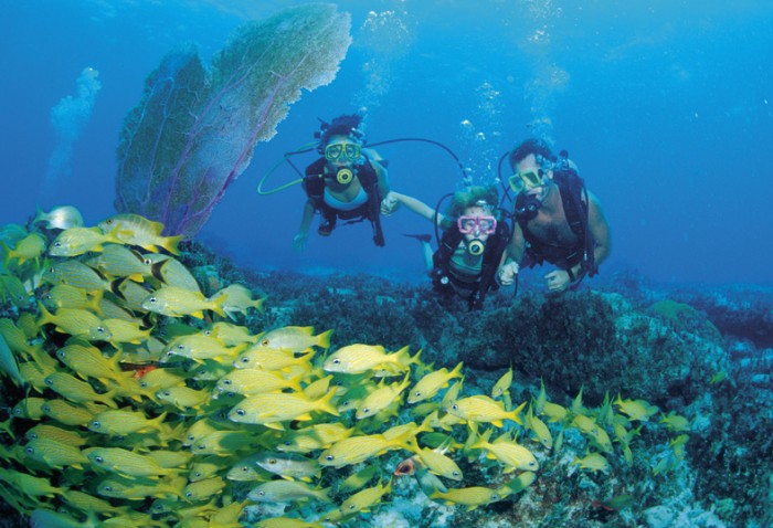 Bahamas Scuba Diving. Image credit not found. TravelSeeLove does not claim any rights to this image whatsoever.