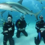 Brave souls shark diving in Nassau. Image credit not found. TravelSeeLove does not claim any rights to this image whatsoever.